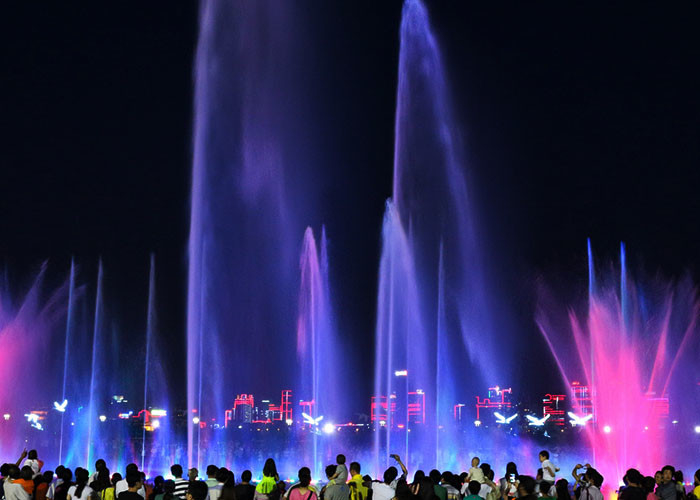 La lumière et l'eau merveilleuses musicales de fontaine d'eau d'art contemporain montrent les images 3D fournisseur